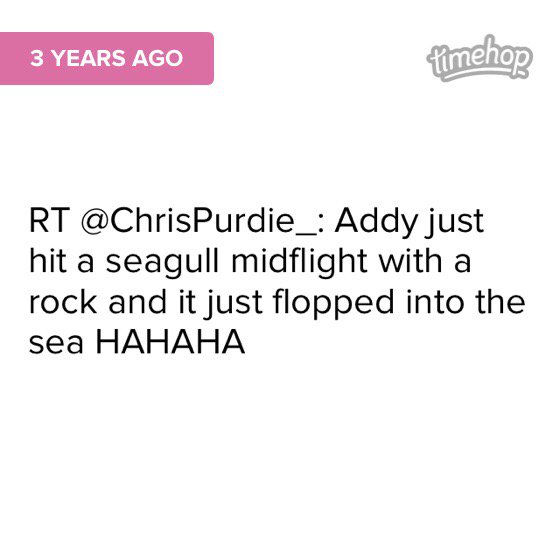 Adam Parrish tweet media