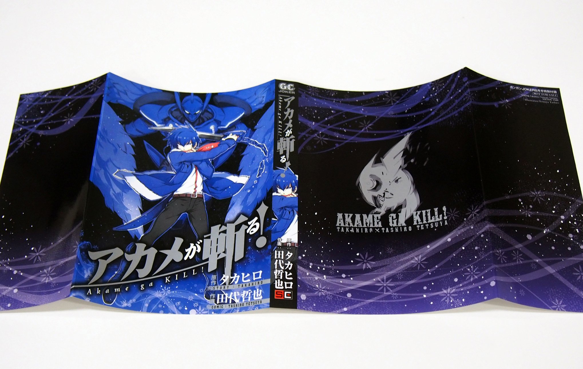 アカメが斬る! 14 ガンガンコミックスjoker : 田代哲也