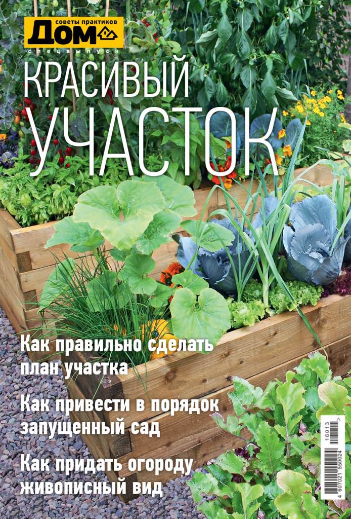 CamListevnik's tweet image. ЛУЧШИЕ ИДЕИ ДЛЯ САДА ЗА 99 РУБЛЕЙ! ppmt.ru/actions.aspx?p…
 #diy #handmade #журнал_дом #сад #красивый_участок #дача