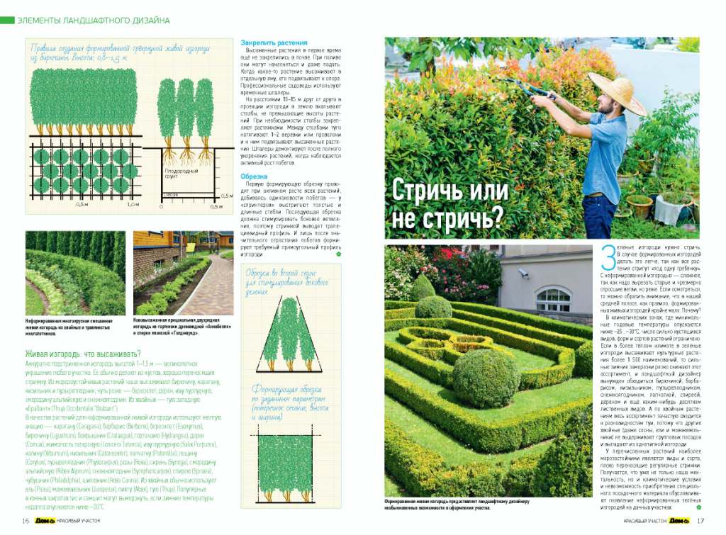 CamListevnik's tweet image. ЛУЧШИЕ ИДЕИ ДЛЯ САДА ЗА 99 РУБЛЕЙ! ppmt.ru/actions.aspx?p…
 #diy #handmade #журнал_дом #сад #красивый_участок #дача