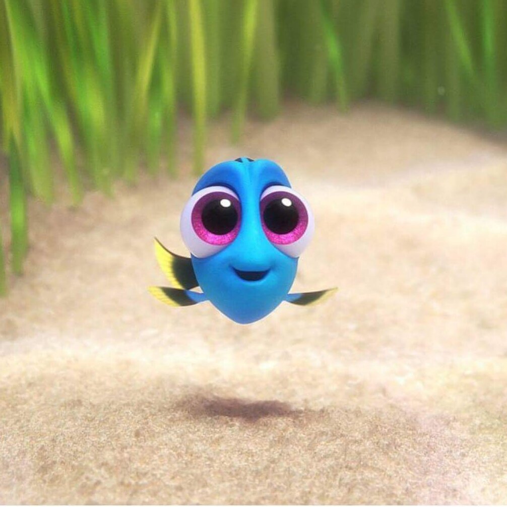 Diedanzz's tweet photo. I love baby Dori, :) https://t.co/oFmLxW7rbm