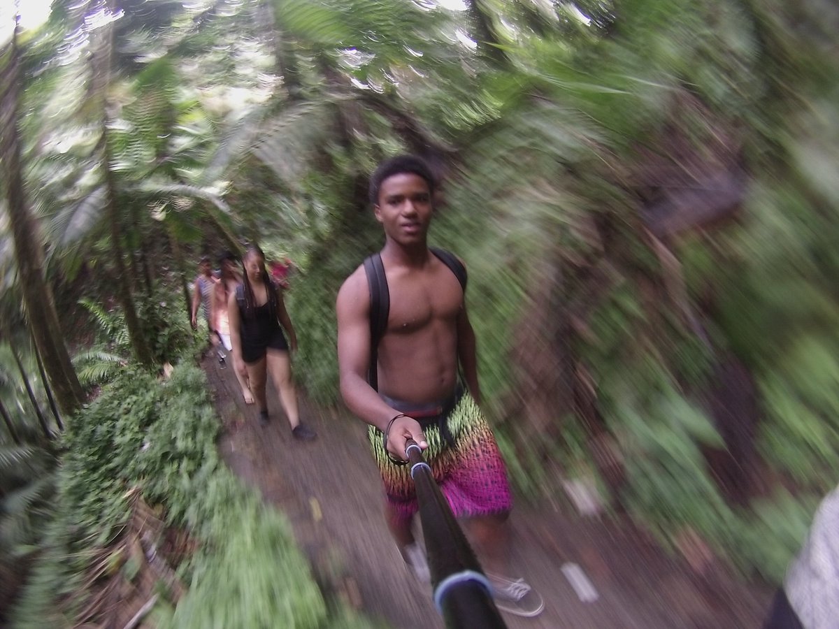 abidaniel333's tweet photo. El Yunque https://t.co/eQac7L4xnb