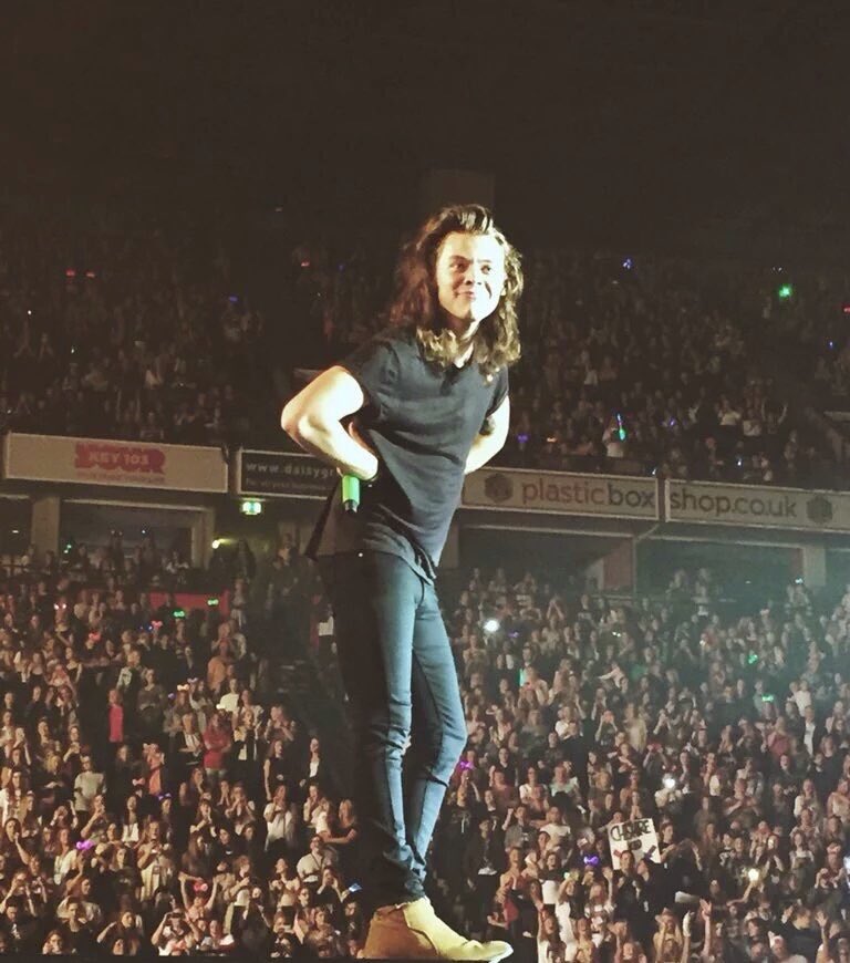 szquadirectione's tweet photo. Amo como ele é brincalhão, o sorriso dele,o jeito dele com as fãs é por isso que acho Harry lindo #HarryIsBeautiful https://t.co/gAOle5KtMj