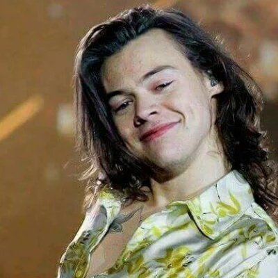 szquadirectione's tweet photo. Amo como ele é brincalhão, o sorriso dele,o jeito dele com as fãs é por isso que acho Harry lindo #HarryIsBeautiful https://t.co/gAOle5KtMj