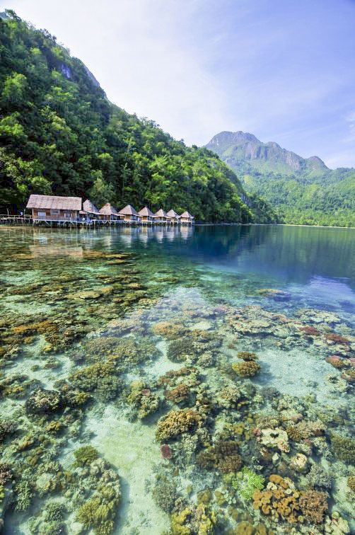wonderfulid's tweet photo. Pantai Ora di Pulau Seram, Maluku ini adalah tempat yang sangat cocok untuk melepas penat. RT kalau kamu setuju! https://t.co/sZCulVhUK6