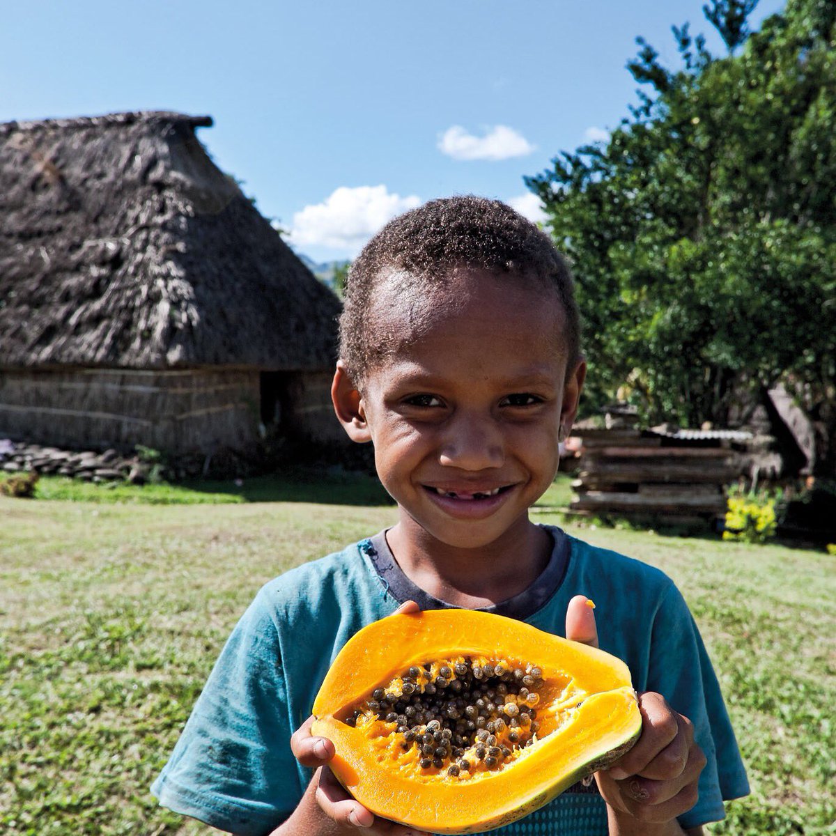 Papaya anyone? #Fiji