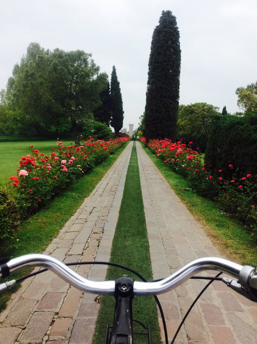 Peschiera_sun's tweet photo. Come with us to #ParcoSigurtà and cycle around 600,000 square meters of gardens, voted Italy’s most beautiful park. https://t.co/yr6vdvzeMq