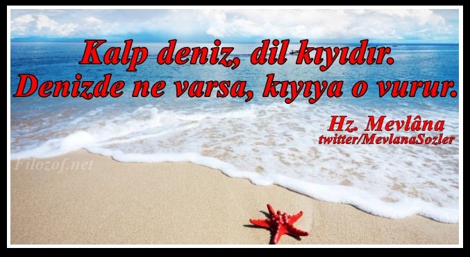 Kalp Deniz Dil Kıyıdır Denizde Ne Varsa Kıyıya O Vurur