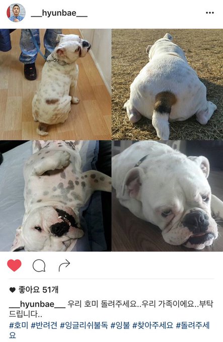 View image on Twitter View image on Twitter