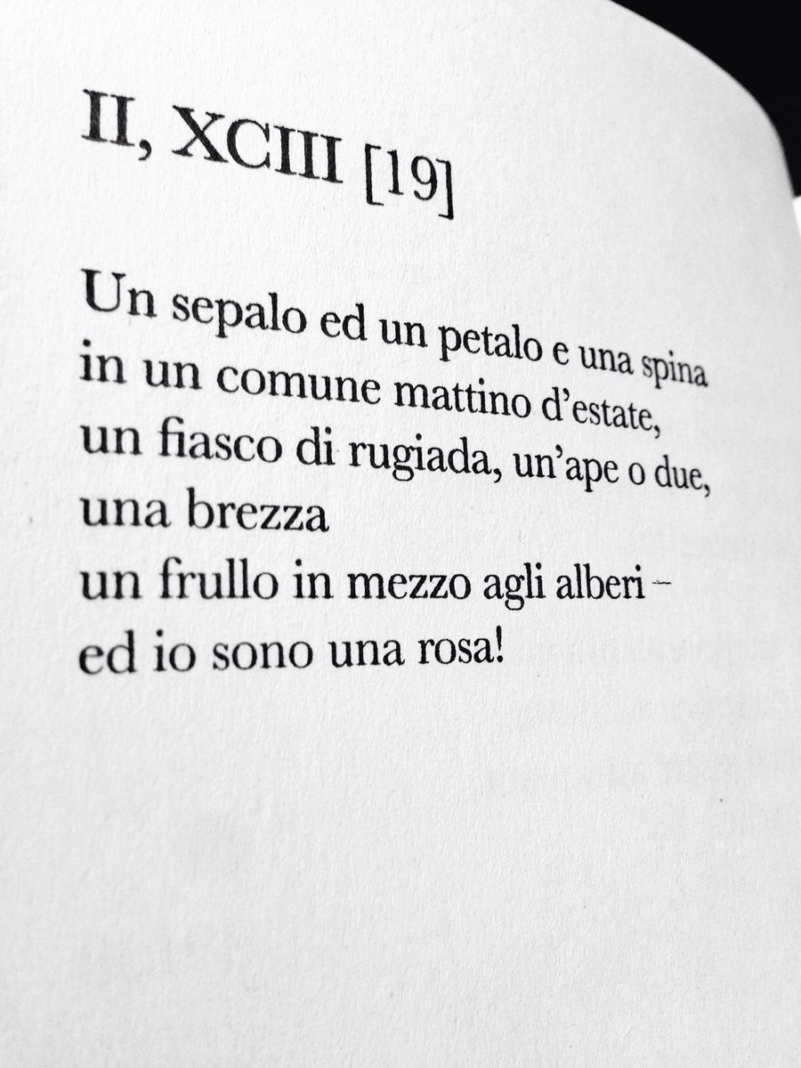 giuliavaldi's tweet photo. in un comune mattino d'estate ..
#Dickinson
@diconodioggi @statrosapristin 
@Internopoesia @poetarumsilva https://t.co/rsZDPCcjdj