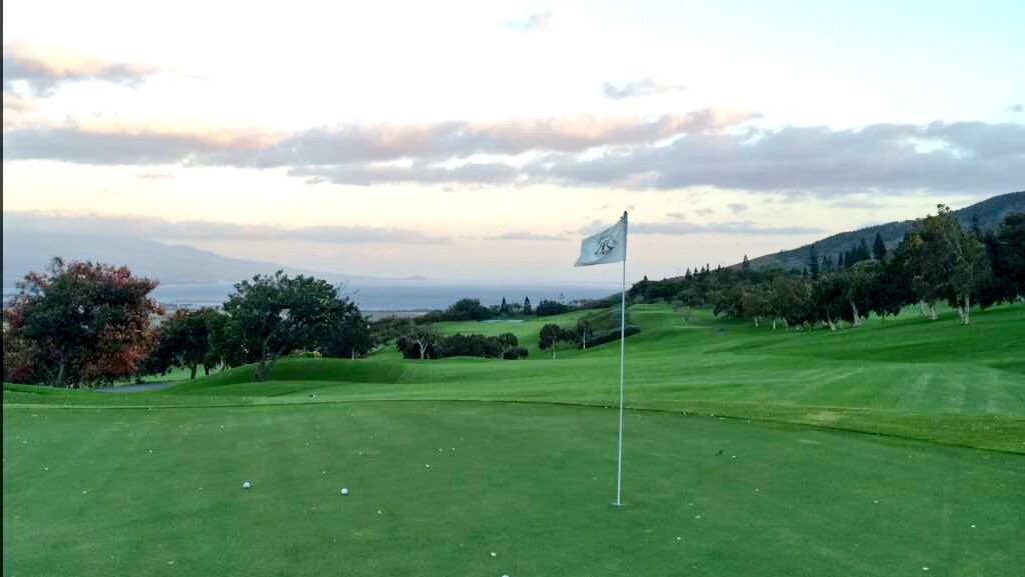 King Kamehameha GC tweet media