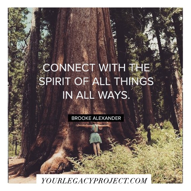 YLPHUB's tweet photo. "Connect With The Spirit Of Things In All Ways" #brookealexander #yourlegacyproject #socialentrepreneur https://t.co/iVW9D4w9ei