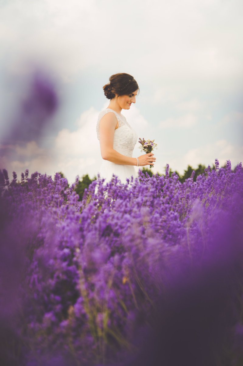 TimothyJPhoto's tweet photo. @BBCBreakfast reporting from @Cotswoldlavender this morning, where I shot a #bridal #photoshoot on Saturday. https://t.co/jCspsaEUFg