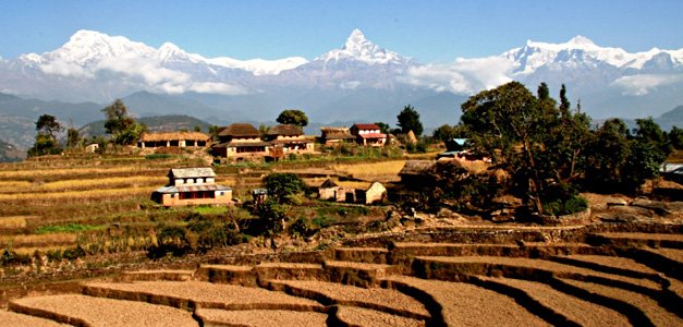 Alpine_Nep's tweet photo. #Panchase #Hill #Trek #Nepal

https://t.co/ymbsX9KHQg

#Trekking #Tour #Travel #Adventure #Destination #Visitnepal https://t.co/LWkNtakwWa