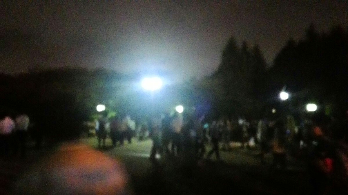 世田谷公園がミニリュウ目当てのポケモンgoトレーナーでフェス状態 Togetter