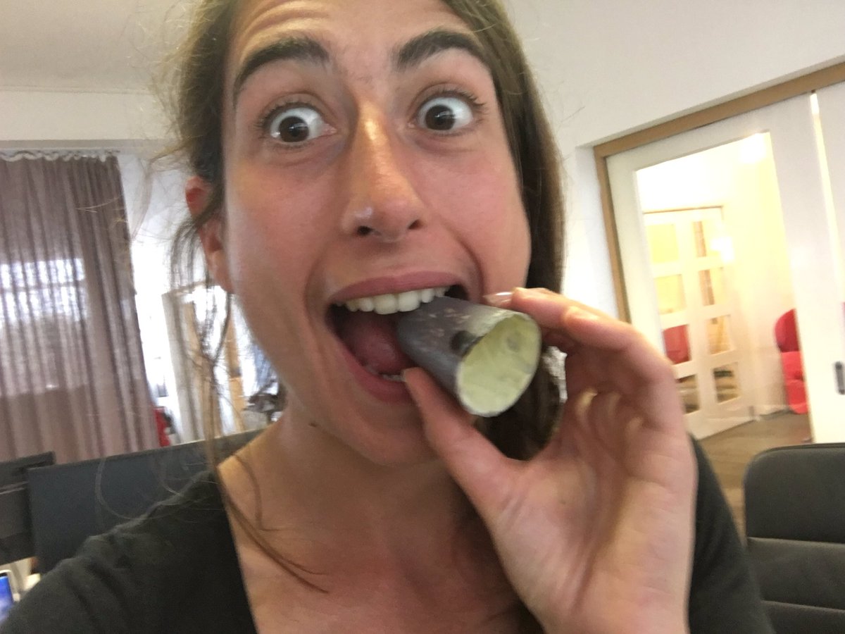 muckymaiya's tweet photo. The one thing better than chocolate is... a box of mini chocolate Brochs! Thx @TheBrochProject! #ediblearchaeology https://t.co/PYAf2iIUCt