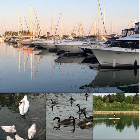 YorkvilleAgent's tweet photo. Fav way to #WindDown: #WalkByTheLake = #Birds and #Boats #campremax @campremax https://t.co/xluethQTGS