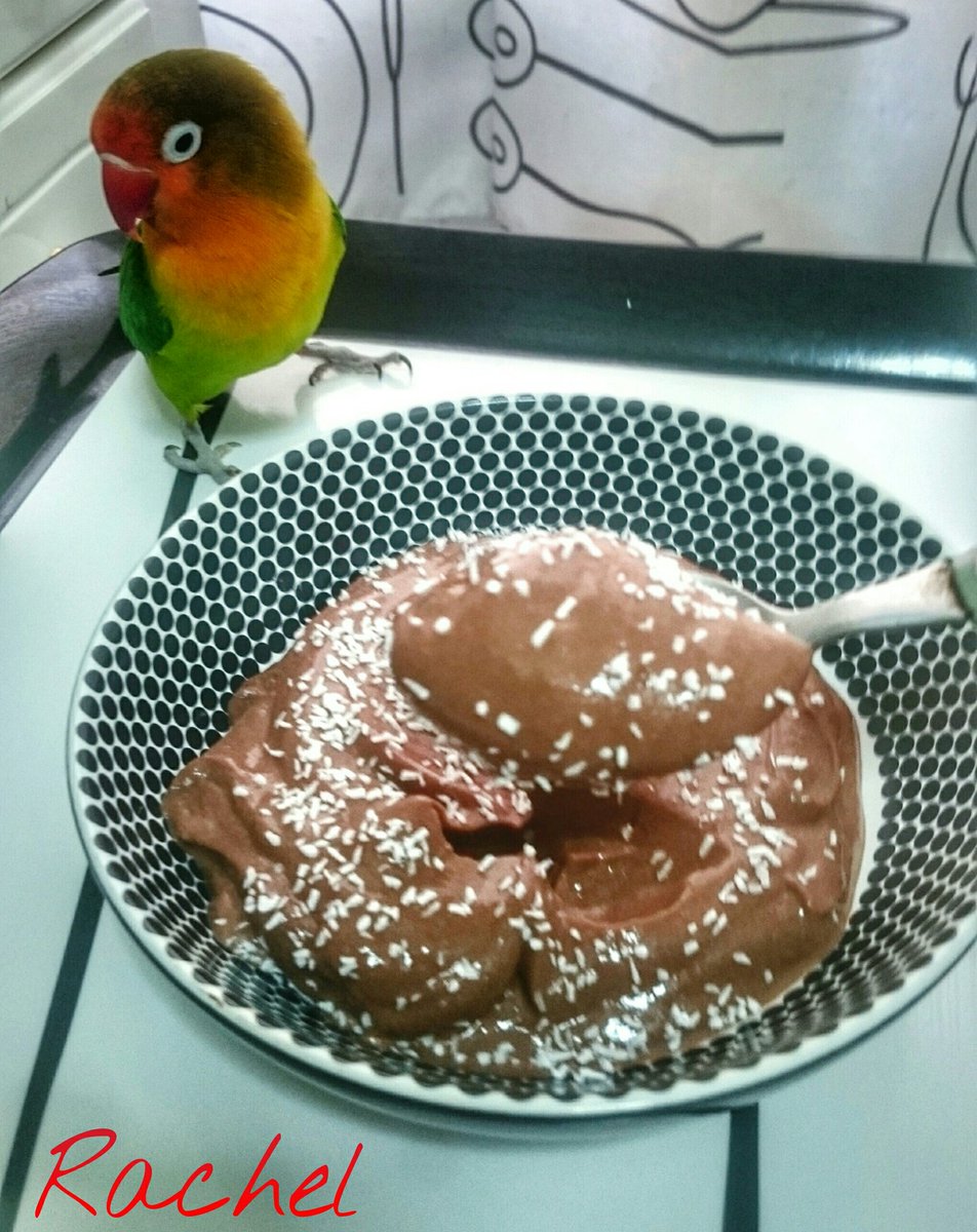Rakelgram's tweet photo. NATILLAS DE TOFU:
Batimos:
- 250gr TOFU
- 50ml leche almendras
- 10gr cacao desgrasado
- edulcorant
Nevera y listo! https://t.co/KjEW2jzxQL