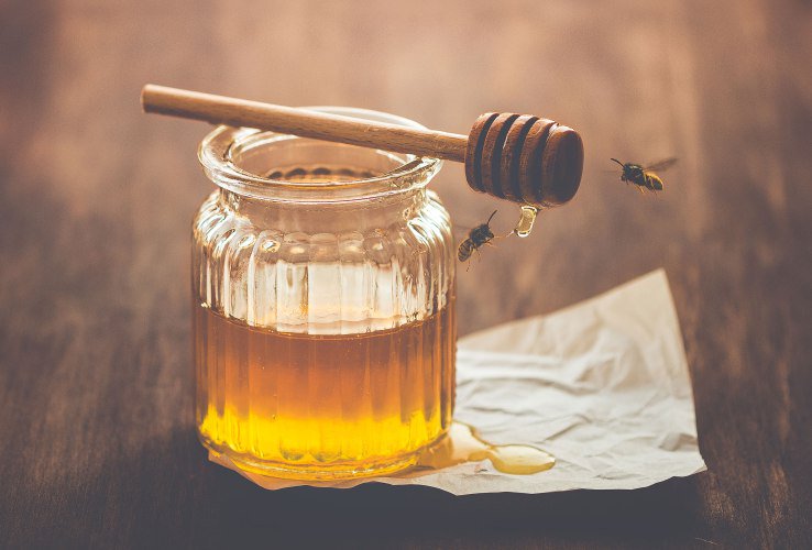 AgostinelliAldo's tweet image. Honey, bees &amp;amp; #internet? Now they&apos;re linked! @mahendra_gr explains on @TechCrunch #IoTPOT ow.ly/FX8E301NWSh