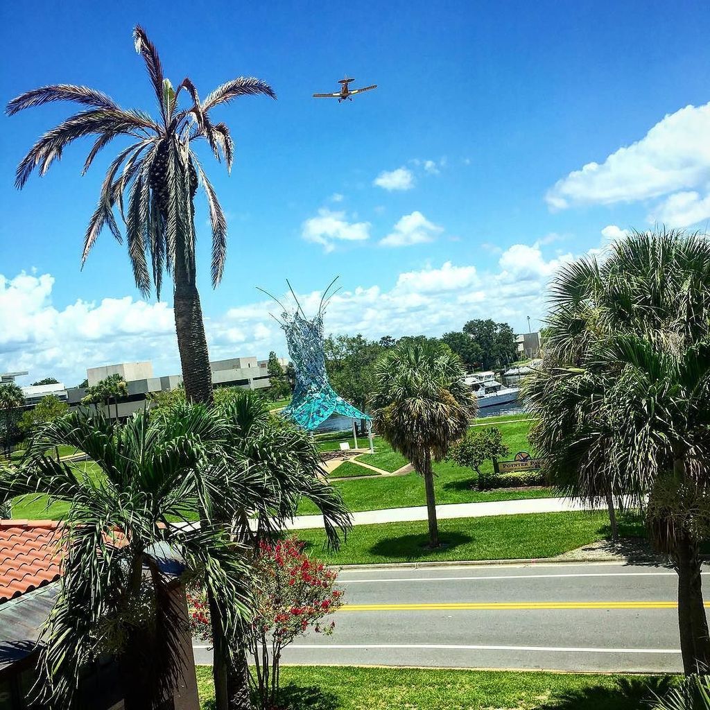 LFilloramo's tweet photo. discoverRIDG: The view from our office...is it any wonder that we stay perpetually inspired?
🔴
#cornerof… … https://t.co/28LU6UsoQw