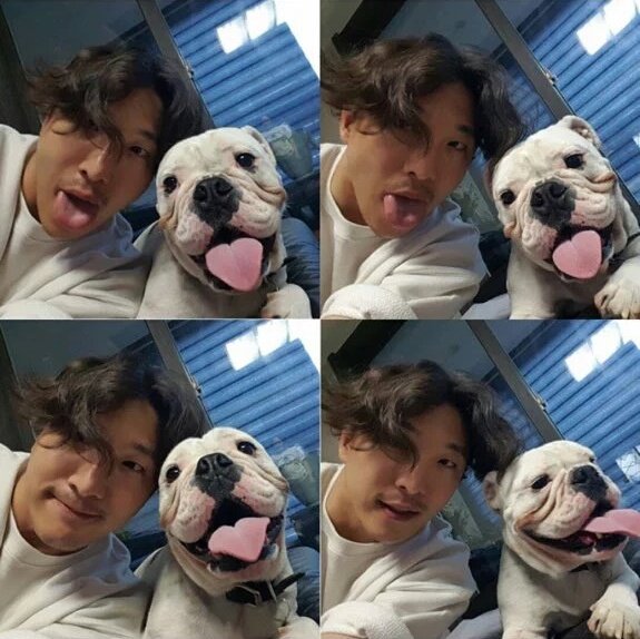 View image on Twitter