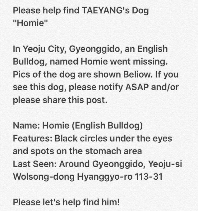 View image on Twitter View image on Twitter