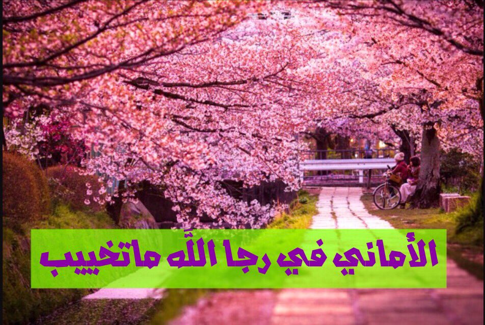 أسعد الله أوقاتكم بكل الحب #يوم_سعيد