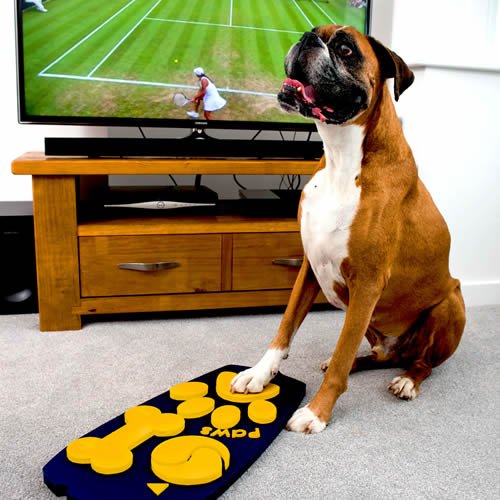 LancashireRKE's tweet photo. Researcher from @UCLanPSC develops prototype remote that allows dogs to interact with TV https://t.co/BwML9WL5Kb https://t.co/mKBUmMp8LC