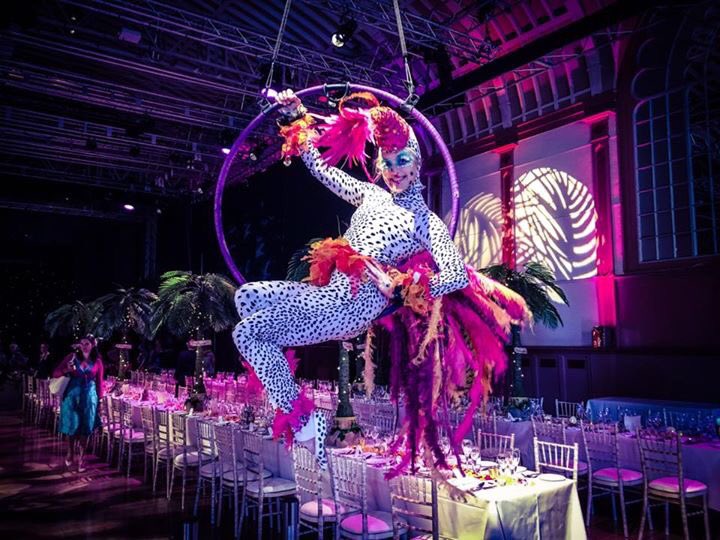 Thank you to my wonderful Bolli Darling artistes especially the gorgeous Desiree <a href="/anactabove/">Desirée Kongerød</a>