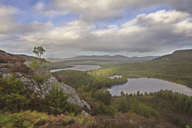 scotruralnet's tweet image. Take part in #BigParkBigQuestions consultation on key issues in Cairngorms National Park bit.ly/29PzKEc