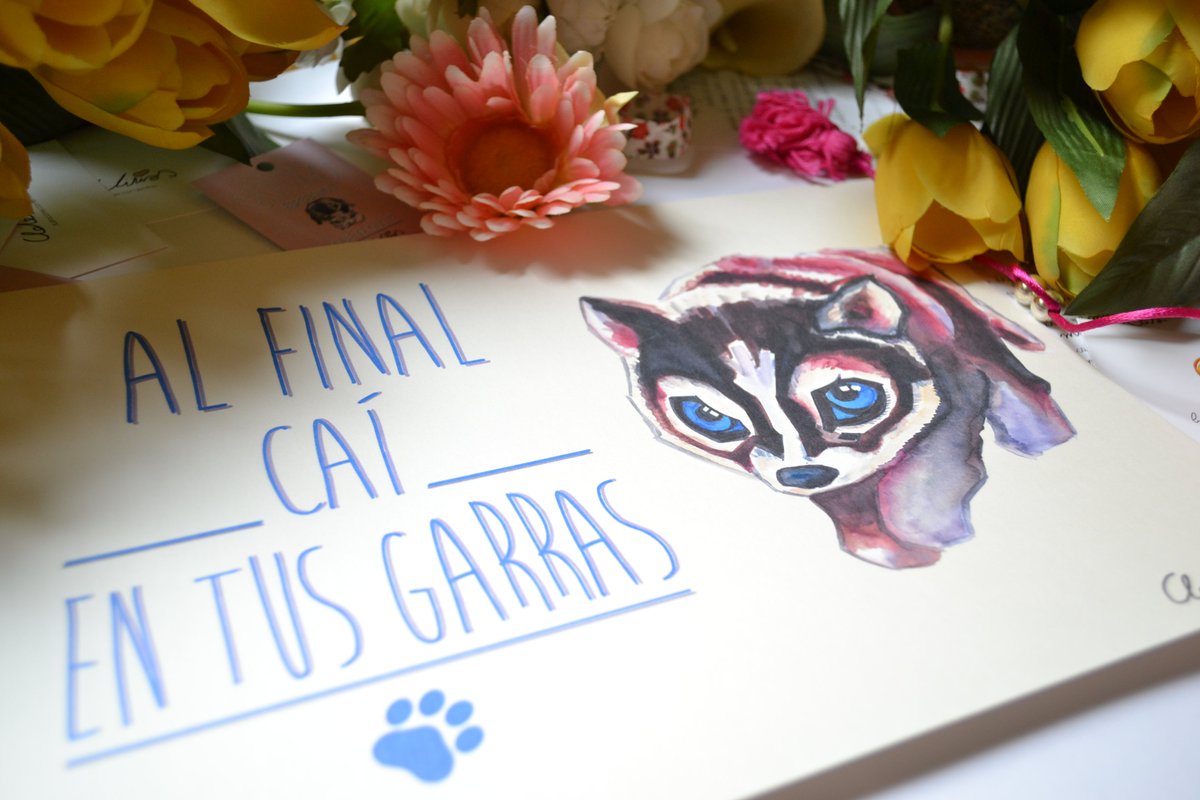 wolf <3