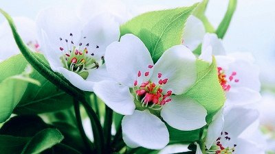 010-3799-2252 (@06b5ce05246b4ff) on Twitter photo 