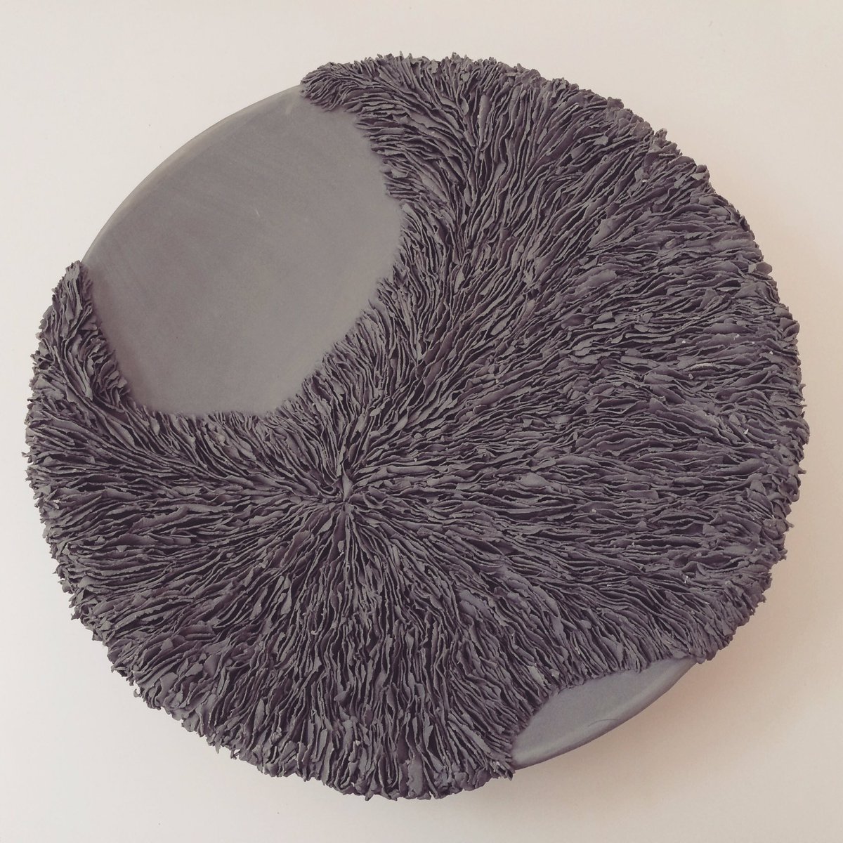 Olivia Walker tweet media