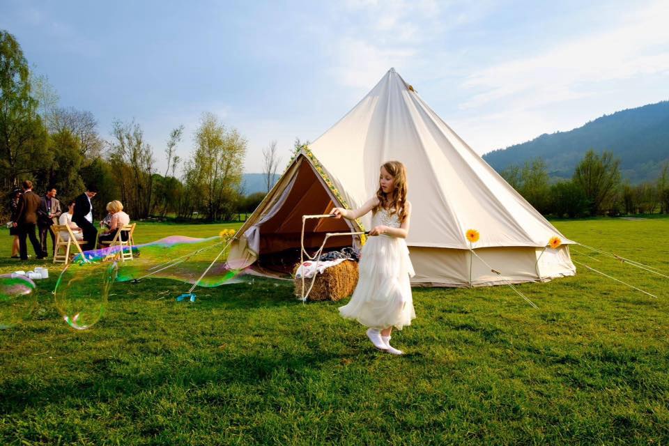 CreativeTipi tweet picture