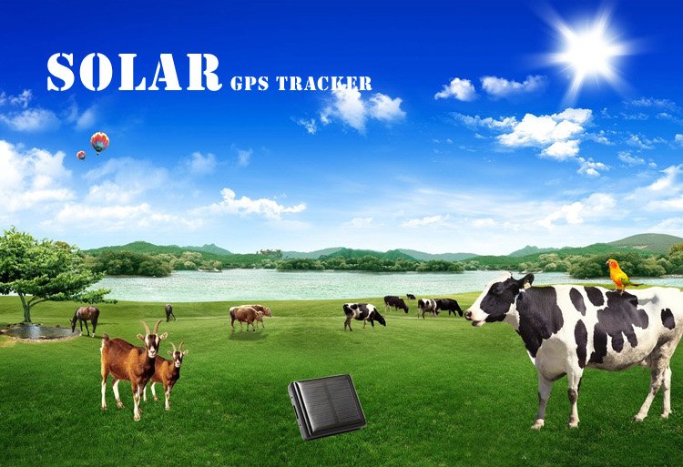 Reachfar_GPS's tweet photo. Waterproof mini cow gps tracker solar powered animal tracking system

https://t.co/L3s2mrZNQS https://t.co/AWIiEgWE5J