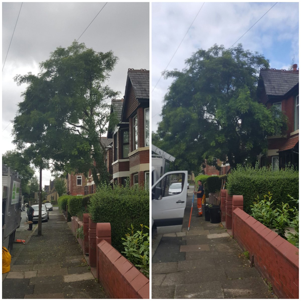 elmhousetrees's tweet photo. This tree was too close to the building and too low over the road. Not any more thanks to Elmhouse tree services. https://t.co/HaKklaaE8I