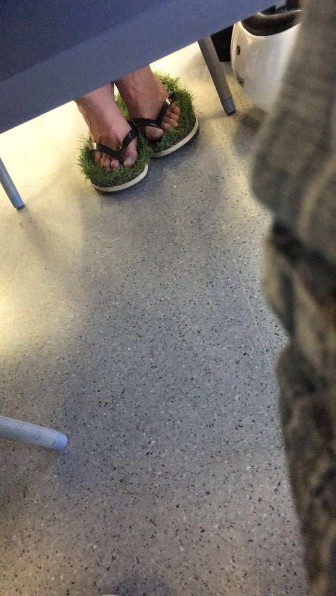 BrioEnfurecida's tweet photo. Cuando tienes que ir a la biblioteca pero por ser verano quieres seguir en contacto con la naturaleza: https://t.co/FHo07bglDm