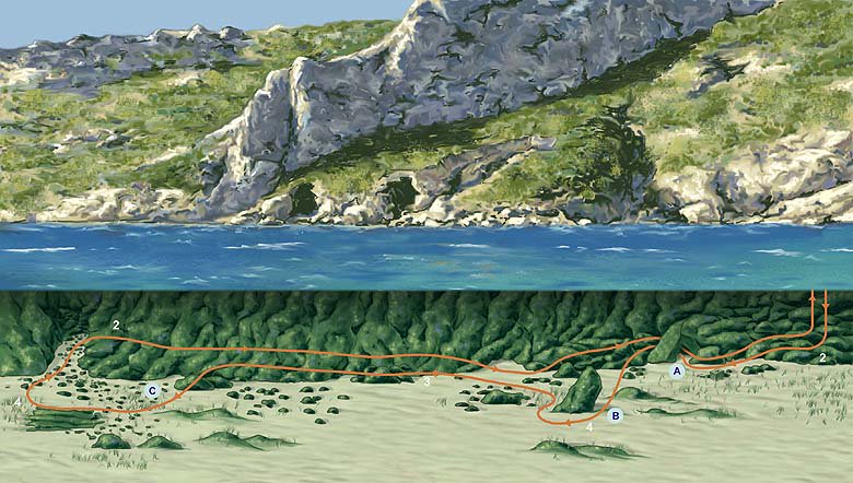 dipALCmAmbiente's tweet photo. Día ideal para bucear en una de las calas de "Senderos bajo el mar". La Granadella (Moraira) https://t.co/MboUbCO4f5 https://t.co/cFjQtNbi1d