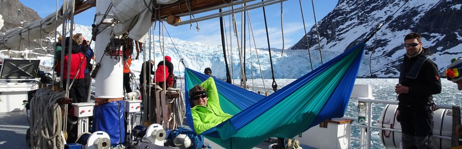 Almateon tweet media