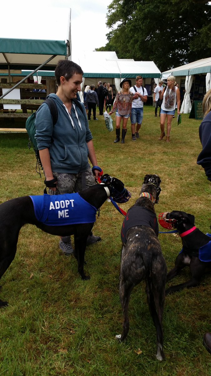 QDragon59's tweet photo. @NewForestShow just making friends with some beautiful greyhounds! I really wish I had some room at home ! https://t.co/4tu8iYztIC