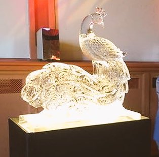 Thank you <a href="/iceexpert/">Philip Hughes</a> for our spectacular wedding Ice peacock! <a href="/PartridgeEvents/">Jacqui Partridge</a>