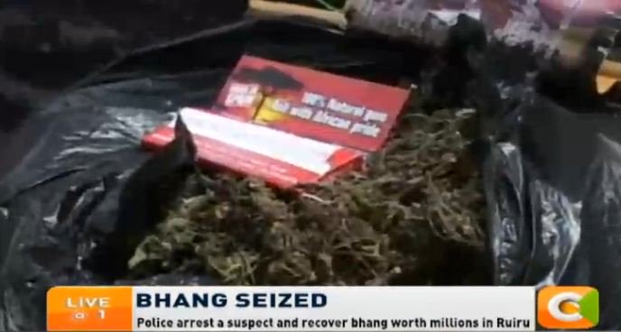 citizentvkenya's tweet image. Police arrest a suspect and recover bhang worth millions in Ruiru #CitizenLiveAt1