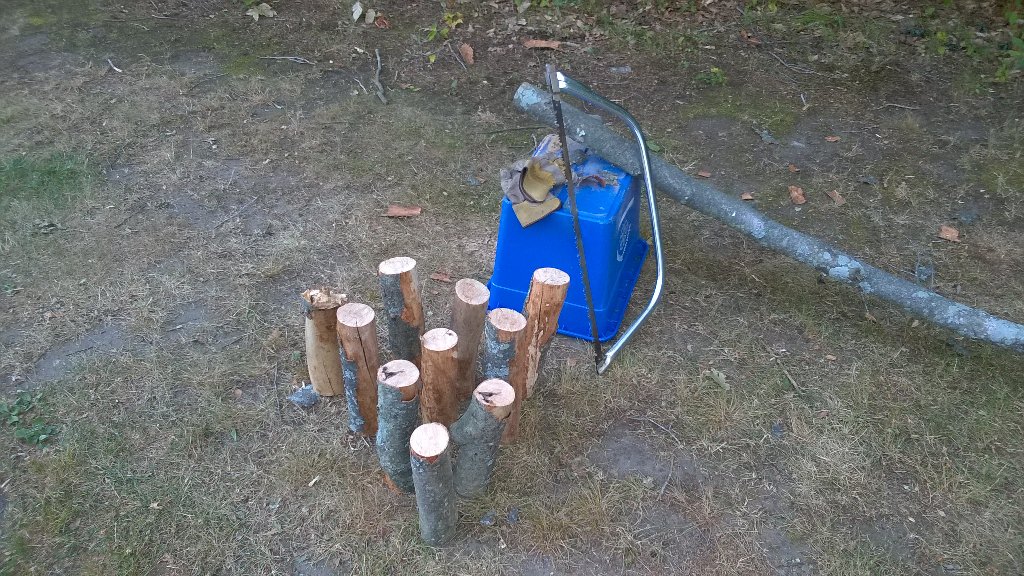 MoveRate20's tweet image. Fallen tree limb in the night. I decided to make bowling pins out of it.I am not @Nick_Offerman#ManWithABowSaw