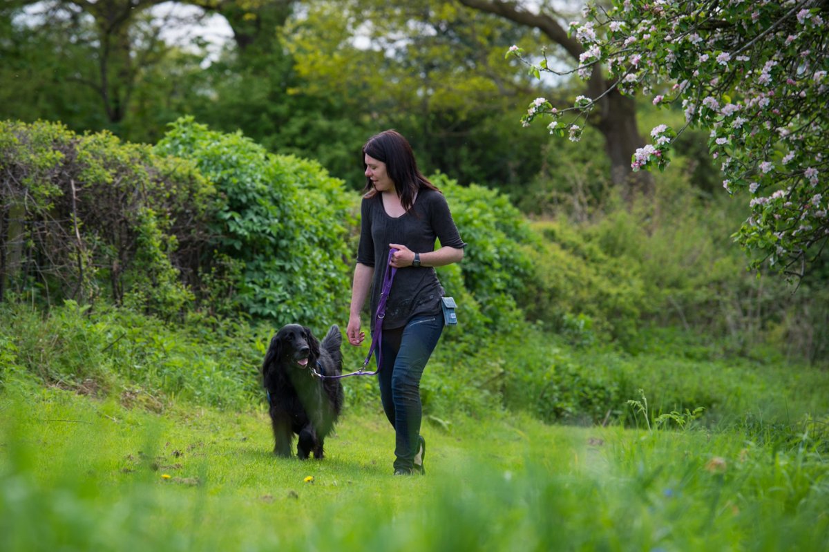 Angie has epilepsy. Venus is trained to give a 40min seizure warning so Angie can be independent #AssistanceDogDay