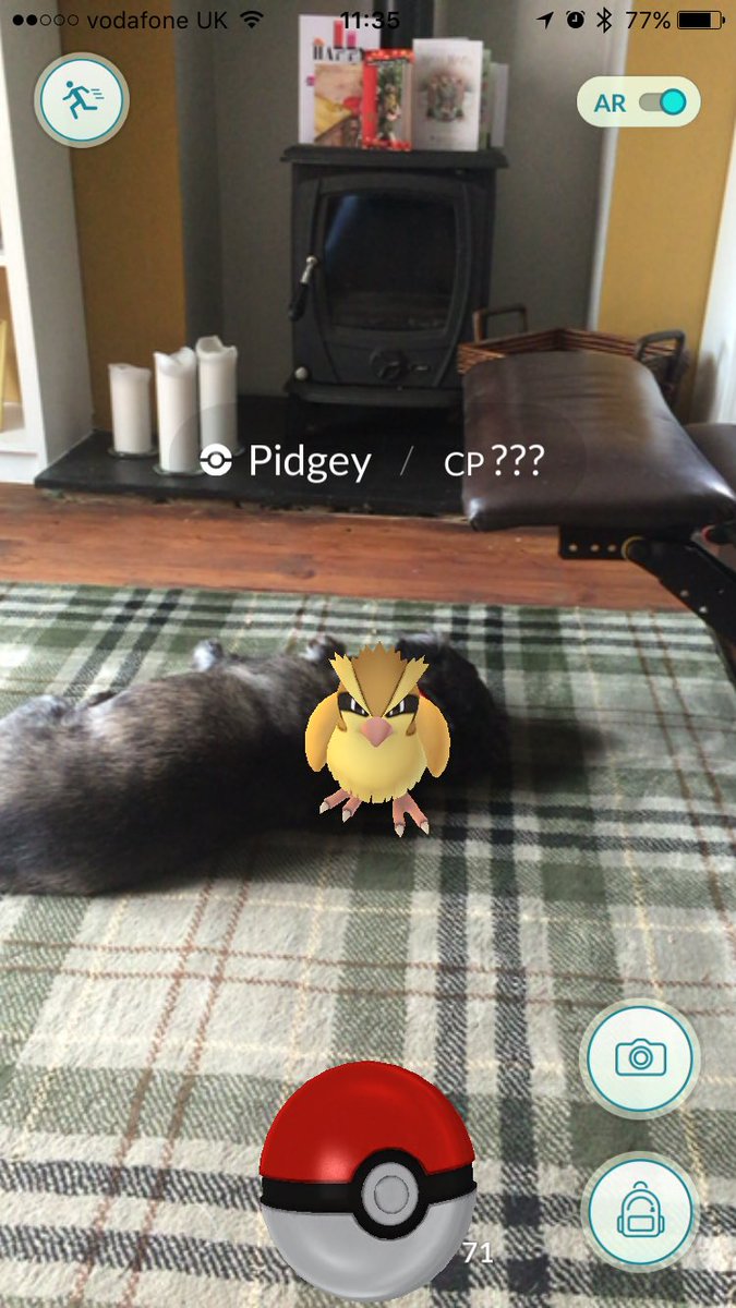 Orchard_Rick's tweet photo. There is a Pokemon sitting on my dog. 

GET OUT. https://t.co/4wbvwevo3k