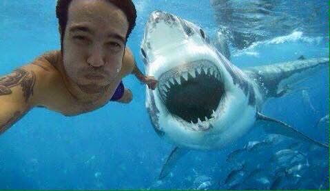 MilenitaConM's tweet image. —¿Y tú dónde estás? 
—Casi me come un tiburón! 
—Será la otra que se lo está comiendo.
—NUNCA ME CREE NADA
—