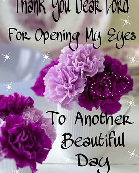 Dawdy_12to12's tweet photo. Blessed Morning @KennyKenisha @Ghypejamrock @chocojacuzzikay @tweetgh876 @Tweetaholics876 @angel_petal @Tallis88 https://t.co/RQRCYwYRyT