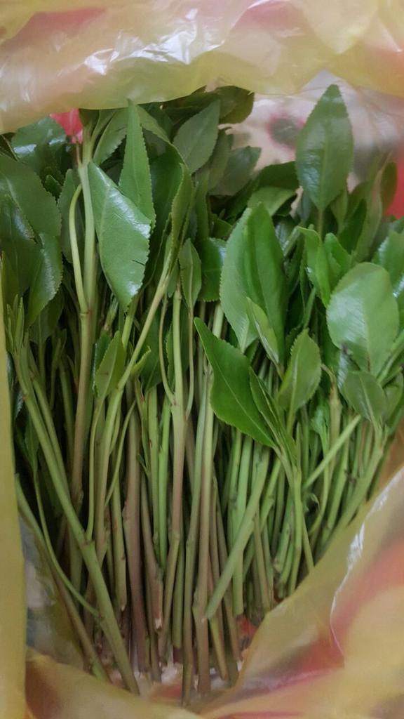 كبرياء صنعانيه ♡ (@aa3548571) on Twitter photo 