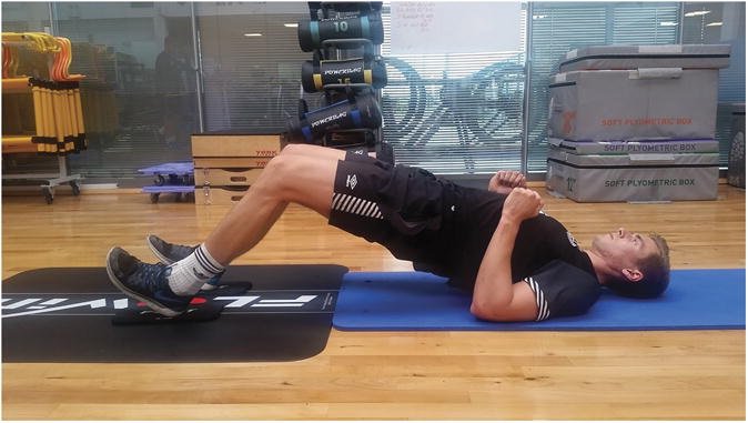 NSCA's tweet photo. Need an alt exercise to nordic hamstring curls that works posterior chain? Sliding Leg Curl https://t.co/JIYmSlD6BF https://t.co/JvWjyRXLUT