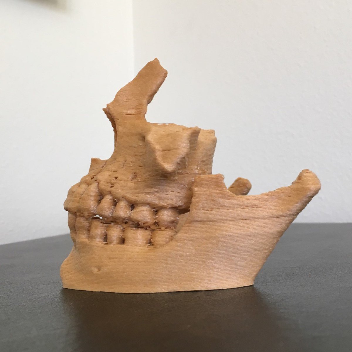 DrJonBarton's tweet photo. #3dprinted life size partial human skull fabricated in-house at #alt! #3d #3dalt #3dprinting #makers #design https://t.co/wqUkD3hVpV